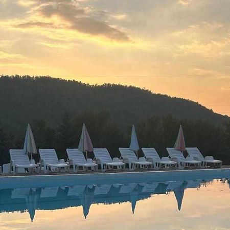 Forest Camp Despotovac Exterior foto
